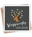 Lainey K Staggeringly Good Looking Card