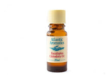 Atlantic Aromatics Eucalyptus Citriodora 10ml