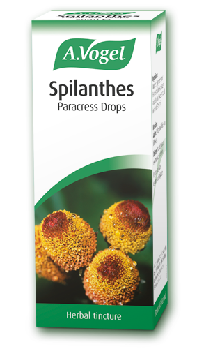 A.Vogel Spilanthes Oleracea (Paracress) 50ml
