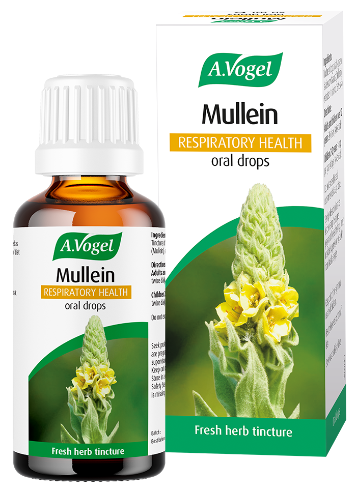 A Vogel Mullein Oral Drops 50ml