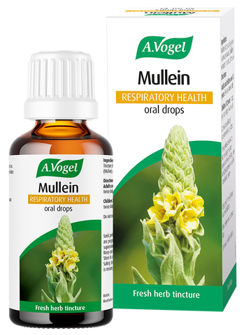 A Vogel Mullein Oral Drops 50ml