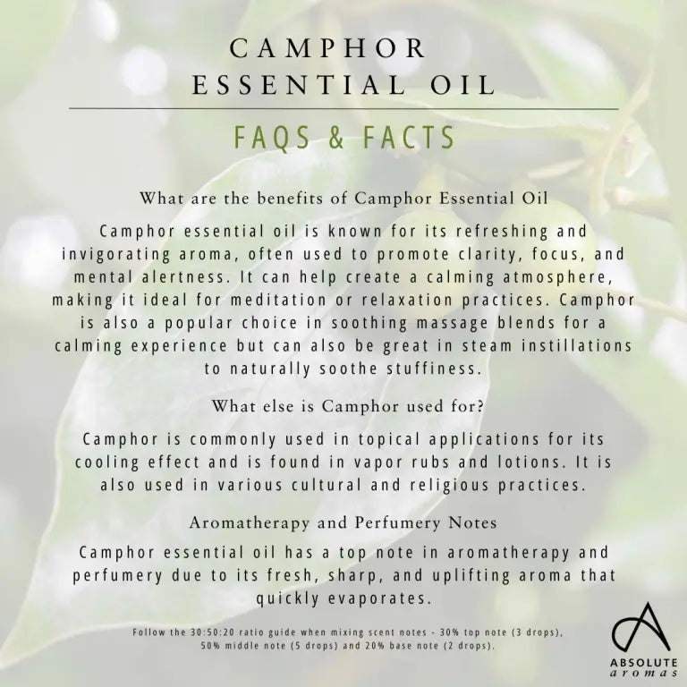 Absolute Aromas Camphor Oil 10ml