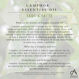Absolute Aromas Camphor Oil 10ml