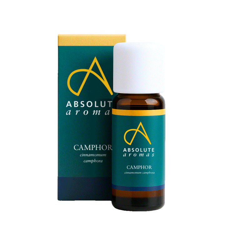 Absolute Aromas Camphor Oil 10ml