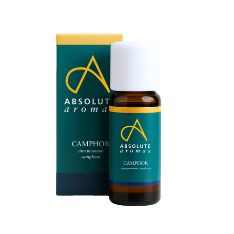 Absolute Aromas Camphor Oil 10ml