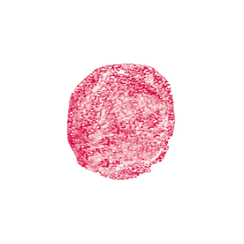 Benecos Natural Lipgloss Flamingo 5ml