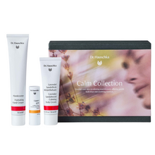 Dr.Hauschka Calm Gift Set Hydrating Hand Cream, Lip Care Stick & Lavender Body Cream