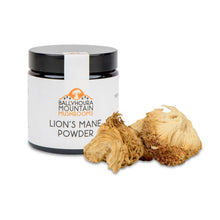 Ballyhoura Lion's Mane Powder 30g
