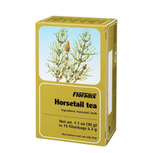 Salus Horestail Herbal Tea 15 Bags