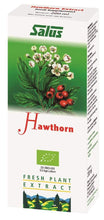 Salus Hawthorn Juice 200ml