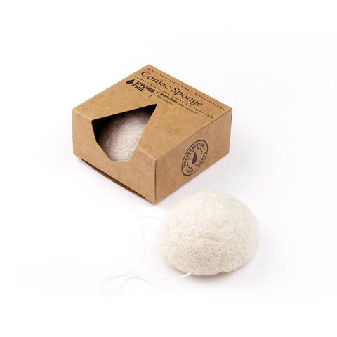 Hydrophil Conjac Sponge
