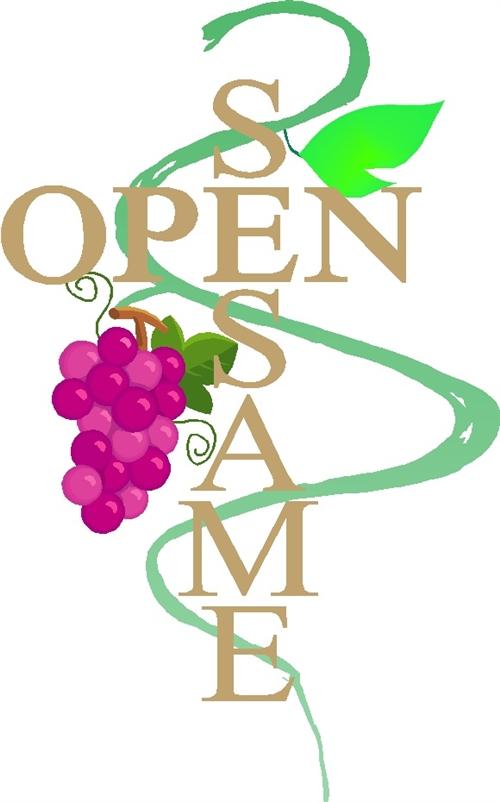Open Sesame Organic Chia Seeds 500G