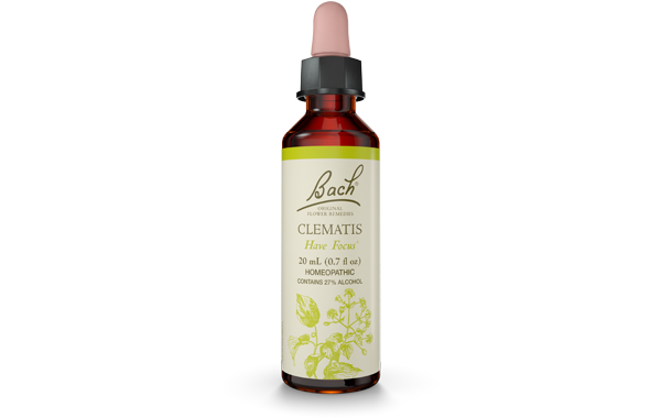 Bach Flower Remedy Clematis 20ml