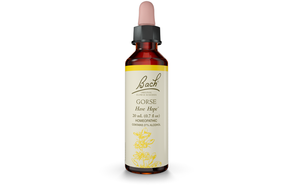 Bach Flower Remedy Gorse 20ml