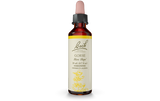 Bach Flower Remedy Gorse 20ml