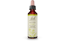 Bach Flower Remedy Mustard 20ml