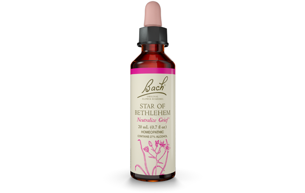Bach Flower Remedy Star of Bethlehem 20ml