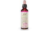 Bach Flower Remedy Star of Bethlehem 20ml