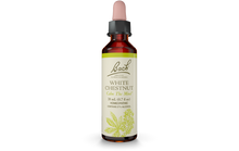 Bach Flower Remedy White Chestnut 20ml