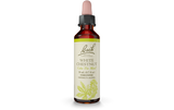 Bach Flower Remedy White Chestnut 20ml