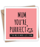 Lainey K You're Purrfect Card