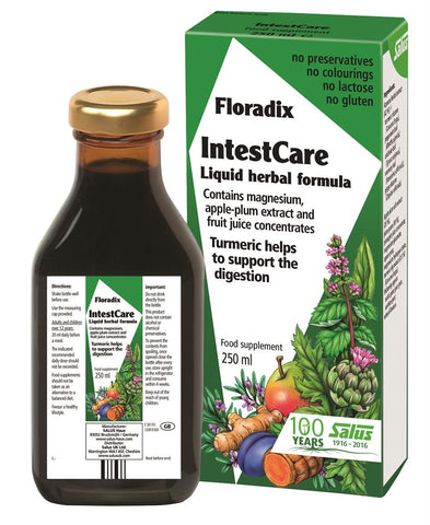 Floradix Intestcare 250ml