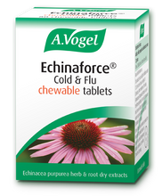 A Vogel Echinaforce Chewable 40 Tabs