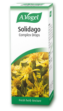 A Vogel Solidago Complex 50ml